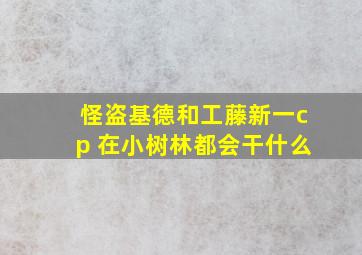 怪盗基德和工藤新一cp 在小树林都会干什么